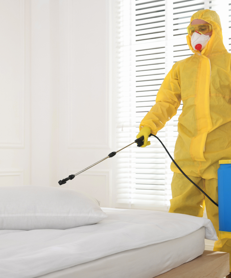 Professional Pest Control Team in Eden Hills